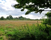 Działki rolne na sprzedaż w obrębie Gałowa | Zdjęcie 6