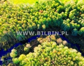 Działka z linią brzegową do rzeki Żubrówka ! | Zdjęcie 3