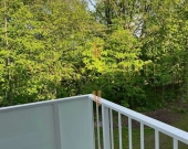 Nowoczesne 3 pokoje | Pomorska 175 | 49 m² | Zdjęcie 3