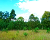 Kup atrakcyjną działkę przy mieście ! | Zdjęcie 3