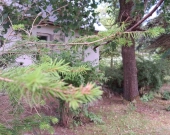 Duża działka idealna pod inwestycję | Zdjęcie 8