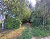 Piękna, duża działka budowlana | Zdjęcie 6