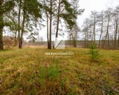 Działka nad brzegiem jeziora Postomsko, 1844 mkw | Zdjęcie 3