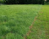 Działka Budowlana (1251 m2) okolice Sobótki MEDIA | Zdjęcie 3