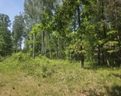 na końcu zamkniętej uliczki, za działką las, wz | Zdjęcie 5