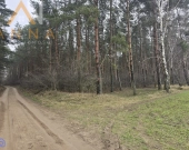 Działka budowlana w bardzo dobrej lokalizacji | Zdjęcie 5