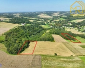 Działka rolna 0,33 ha w gminie Ryglice | Zdjęcie 1