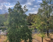 Mieszkanie, Warszawa | Zdjęcie 9