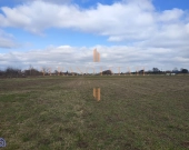 Działka rolna | 3000 m2 | cena do negocjacji | Zdjęcie 3