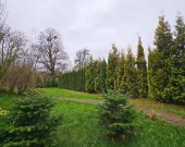 2pok, 182met, Dom wolnostojący PIWNICA/OGRÓD (Radzieszyn) | Zdjęcie 6