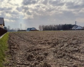 Działki-  Pierszyce, gm. Żabno | Zdjęcie 10