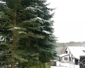 Działka budowlana 50 metrów od jeziora. | Zdjęcie 7