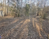 lasy, warunki zabudowy, sąsiedztwo, lokalizacja | Zdjęcie 3
