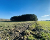 | Pod lasem | 15min od Katowic | 2min od DK 81 | | Zdjęcie 6