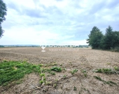 Dom murowany z gruntami rolnymi 2,55 ha Suchowola k. Zamościa | Zdjęcie 5