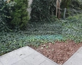 2 pokoje z ogródkiem w Pruszkowie | Zdjęcie 3