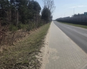 Usługowa, blisko Szosy Lubelskiej, MPZP, drzewa | Zdjęcie 9