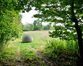 Działki rolne na sprzedaż w obrębie Gałowa | Zdjęcie 9