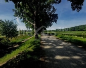 Apartament z duszą - przestrzeń, która pobudza | Zdjęcie 4