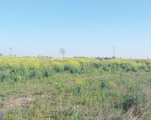 ⭐Tuż obok Kostrzyna⭐Nowe zabudowania w okolicy⭐Bli | Zdjęcie 7