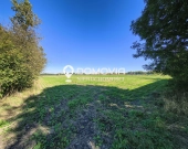 Dom z dużą działką i budynkami Chomęciska Małe pod Zamościem | Zdjęcie 9