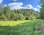 Urokliwa działka w Bieszczadach - Hoczew | Zdjęcie 4