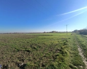 Połączenie terenów zielonych z świetną komunikacją | Zdjęcie 6