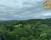 Działka leśna w gminie Ryglice | Zdjęcie 3