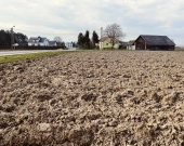 Działki-  Pierszyce, gm. Żabno | Zdjęcie 5