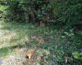 DZIAŁKA ROLNA/INWESTYCYJNA| 6,58HA |BLISKO JEZIORA | Zdjęcie 4