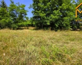 Działka z warunkami zabudowy gmina Pilzno | Zdjęcie 8