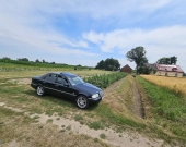 Działka Budowlana (2000 m2) MEDIA (Brzozowiec) | Zdjęcie 7