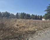 została tylko jedna, wz, prąd, lasy i droga gminna | Zdjęcie 3