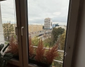 2pok, 47met, Okolice Placu Legionów PIWNICA/PARKING (Wrocław) | Zdjęcie 11