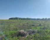 ⭐Tuż obok Kostrzyna⭐Nowe zabudowania w okolicy⭐Bli | Zdjęcie 4