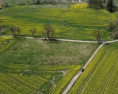 duża działka w Nowych Bielicach | Zdjęcie 4