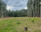 Działki budowlane w Klotyldzinie | Zdjęcie 4