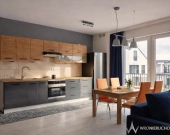 Wynajem I 2-poziomowy apartament I Małe Wilczyc | Zdjęcie 1