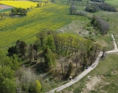 duża działka w Nowych Bielicach | Zdjęcie 6