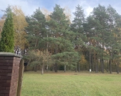 Z lasem, wz, mediami przy prywatnej drodze | Zdjęcie 3