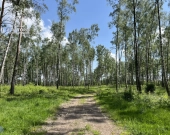 Z dostępem do jeziora, z dobrym dojazdem | Zdjęcie 2