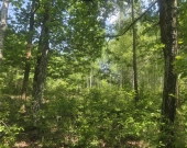 na końcu zamkniętej uliczki, za działką las, wz | Zdjęcie 8