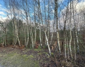 Syndyk sprzedaje nieruchomość gruntową | Zdjęcie 3