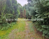 Gorzelnia Nowa - działka z nasadzeniami, domkiem | Zdjęcie 2