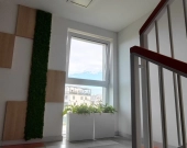 Pokój (13met) okolice Komedy WINDA (Wrocław) | Zdjęcie 13