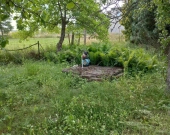 Dom wolnostojący 250m2 | Działka 34ar | Budynki | Zdjęcie 7