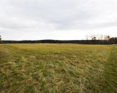 Malownicza działka 1,22 ha przy lesie – Radawie | Zdjęcie 5