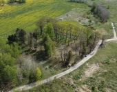 duża działka w Nowych Bielicach | Zdjęcie 5