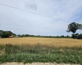 Działka Budowlana (2000 m2) MEDIA (Brzozowiec) | Zdjęcie 13