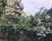 3pok, 56met, Okolice Racławickiej BALKON/MP/2003 (Wrocław) | Zdjęcie 11